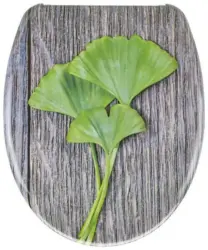 WC-Sitz Gingko mit Absenkautomatik