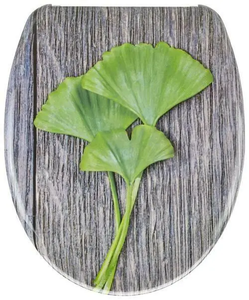 WC-Sitz Gingko mit Absenkautomatik
