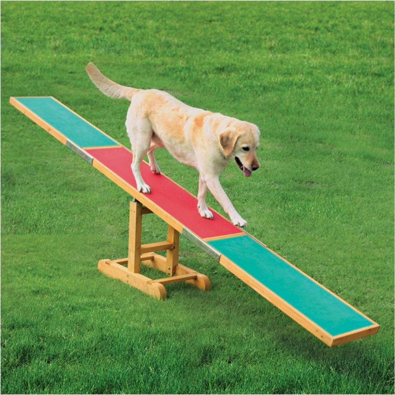 Agility Bascule 300x54x34cm