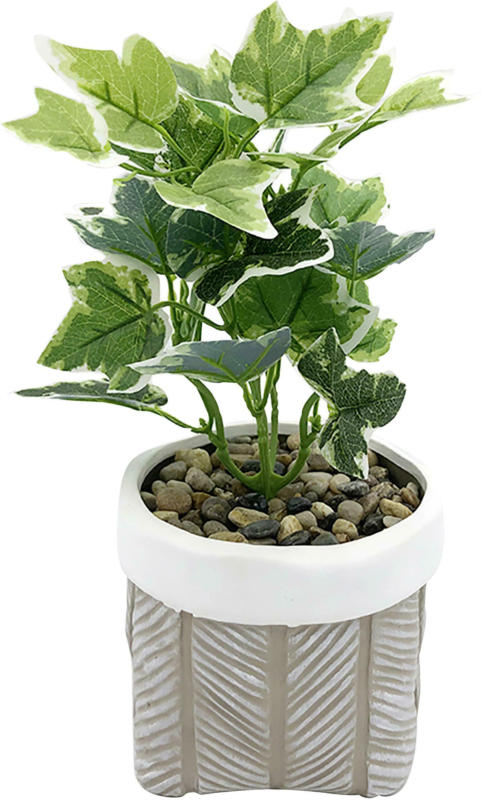 Kunstpflanze Grünpflanze Ø ca. 14cm