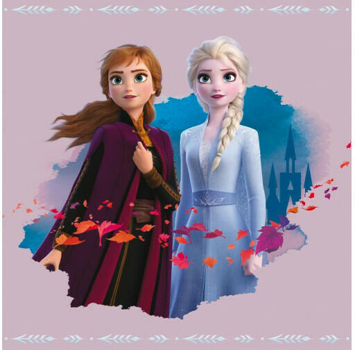 Keilrahmenbild Disney ca. 35 x 35 cm Frozen II