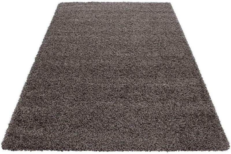 Hochflor Teppich Taupe Life 100x200 cm