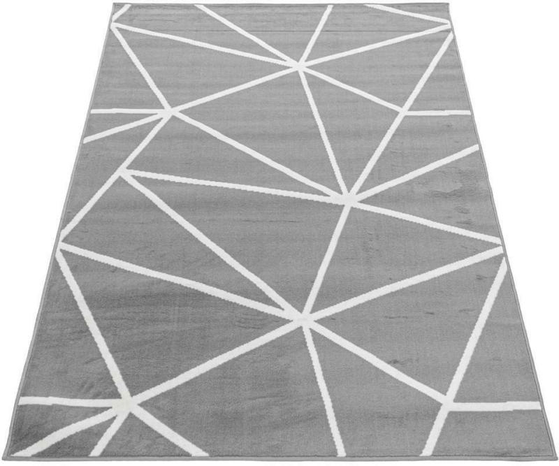 Webteppich Base2403402860grey