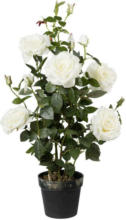 Möbelix Kunstpflanze Rosenbusch Weiß H: 90 cm mit Topf