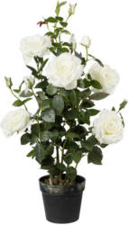 Kunstpflanze Rosenbusch Weiß H: 90 cm mit Topf