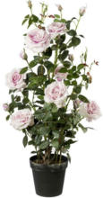 Möbelix Kunstpflanze Rosenbusch H: 112 cm Rosa