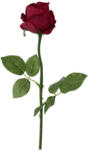 Möbelix Kunstpflanze Rose Rot L: 59 cm, Baccara