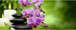 Möbelix Infrarot Heizung 800 W Orchidee 40x100 cm
