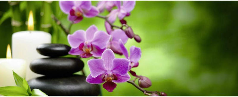 Infrarot Heizung 800 W Orchidee 40x100 cm
