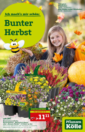 Marktjagd PflanzenKölle Gartencenter Wiesbaden Öffnungszeiten