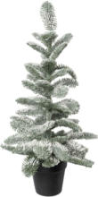 mömax Spittal a. d. Drau Kunstpflanze Nobilistanne, ca. 67cm