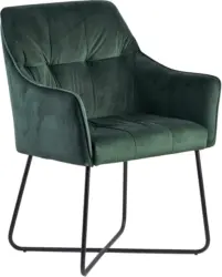 Armlehnstuhl 'Wohnling', grün