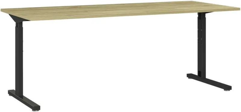 SCHREIBTISCH GW-PROFI 2.0