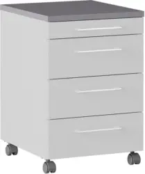 ROLLCONTAINER GW-PROFI 2.0