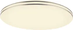 LED-Deckenleuchte Dilan max. 48 Watt Deckenlampe