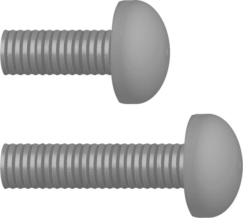 Petrebels Ersatzteil Kopfschraube D10mm/60mm