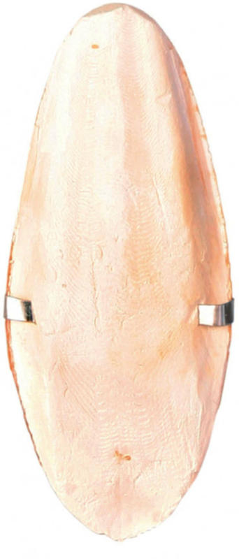 Sepiaschale mit Halter L