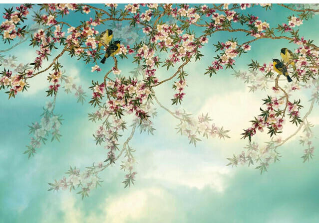 Fototapete Sakura ca. 368 x 254 cm