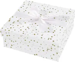 Box mit Deckel Jolly ca. 14x14x6cm