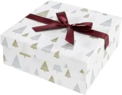 Box mit Deckel Jolly ca. 18x18x8cm