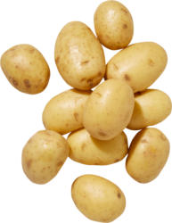 Pommes de terre IP-SUISSE, fermes à la cuisson, 2,5 kg
