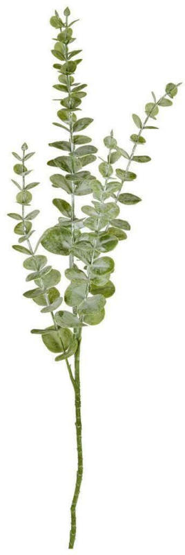 Eukalyptuszweig 73 cm