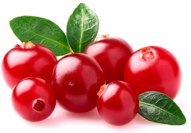 Preiselbeeren aus Schweden