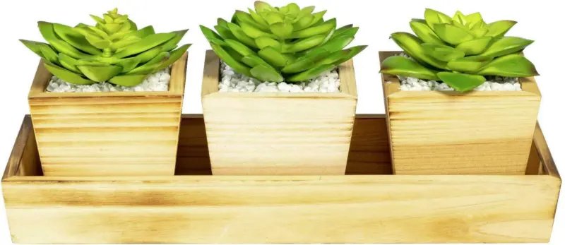 Kunstpflanze Sukkulente