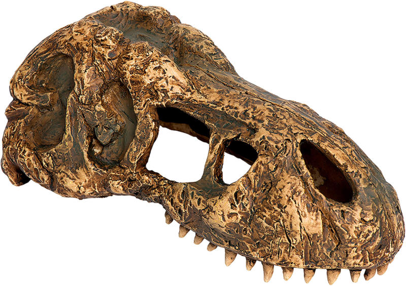 Exo Terra Reptilien Deko-Versteck T-Rex Skull, 15x7x7cm