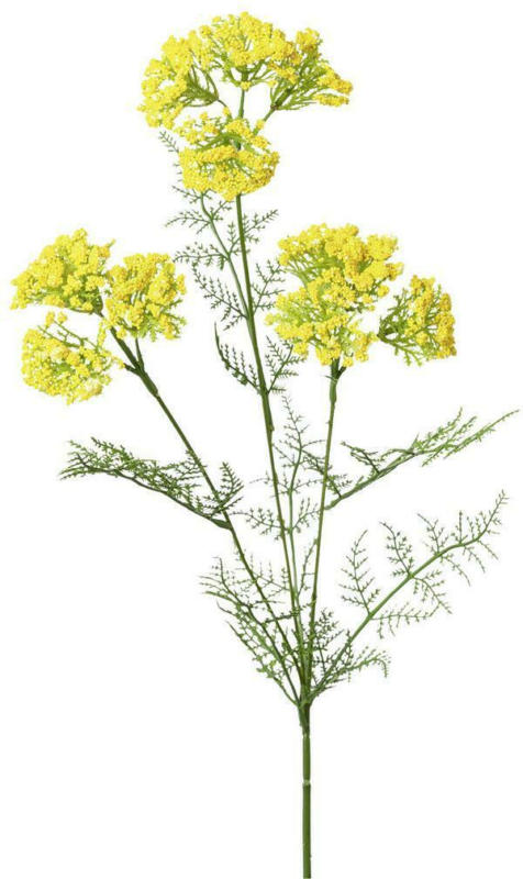 Kunstblume Achillea