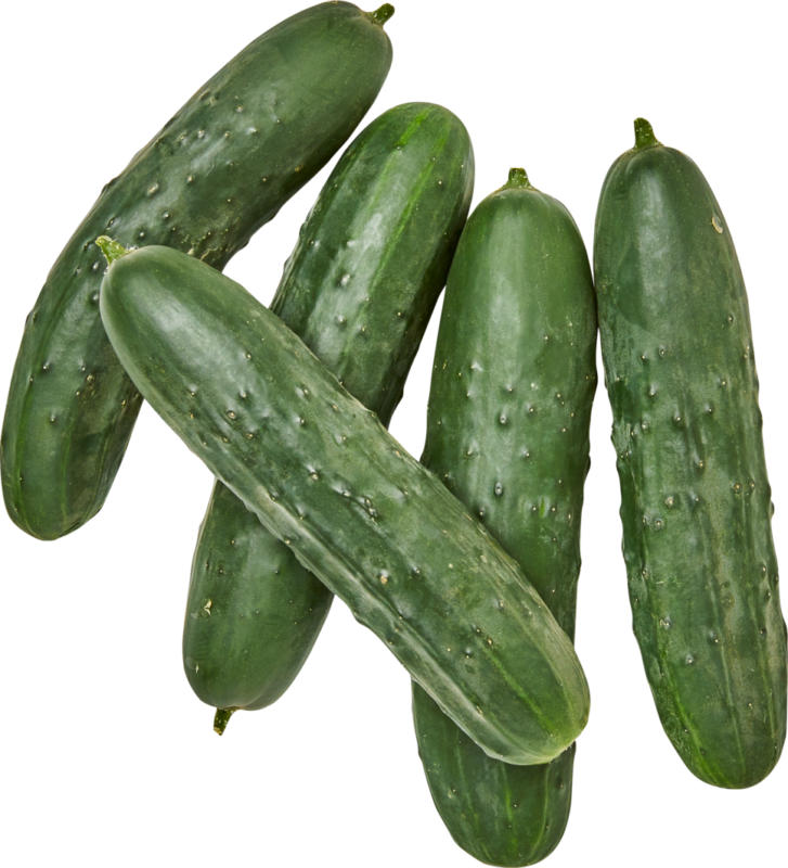Cetrioli Nostrano, Svizzera/Spagna, al kg