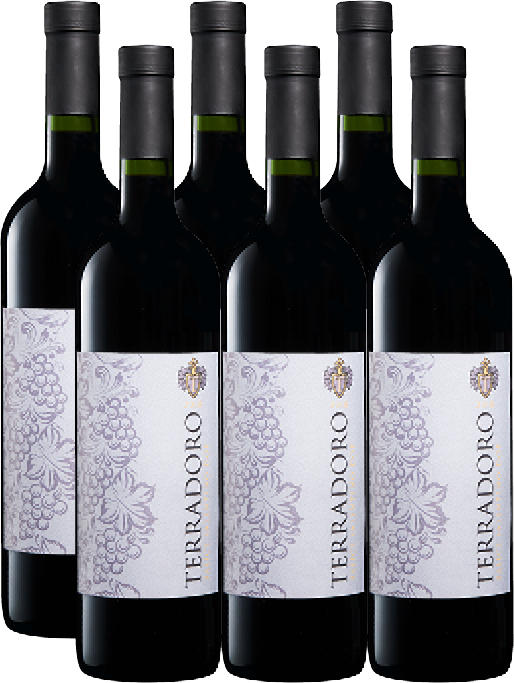Terradoro Salice Salentino DOP, 2020, Puglia, Italia, 6 x 75 cl