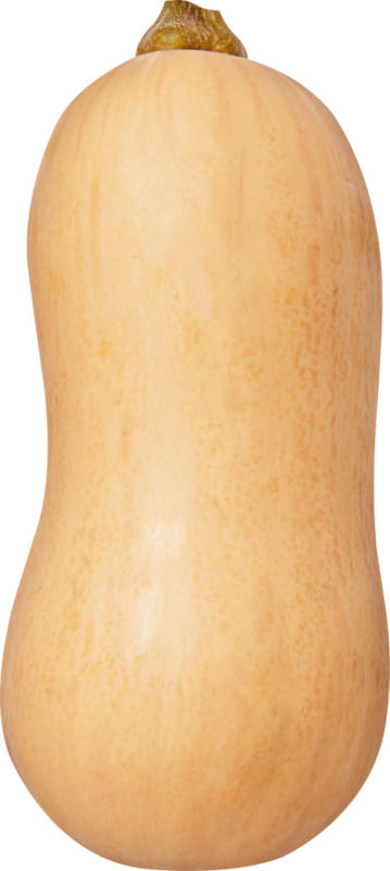 Zucca butternut IP-SUISSE , Svizzera, al kg