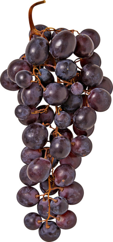 Uva scura, Italia, al kg