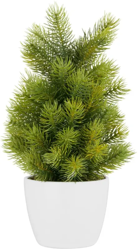 Kunstpflanze Tannenbäumchen inkl. Topf