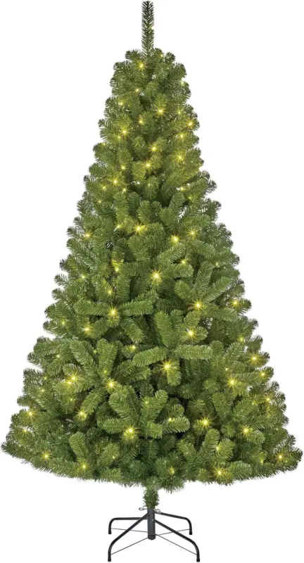 Weihnachtsbaum Charlton in Grün