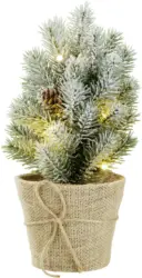 LED-Dekoleuchte Adalbert inkl. Batterien