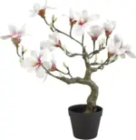mömax Kunstpflanze Magnolienbaum in Rosa