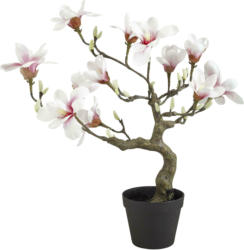 Kunstpflanze Magnolienbaum in Rosa