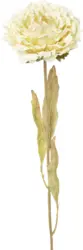 Kunstblume Peonie I in Creme
