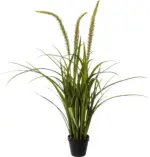 m&ouml;max Kusntpflanze Miscanthus I