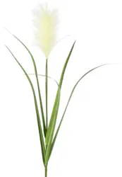 Kunstpflanze Pampasgras in Creme