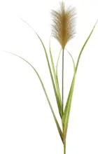 mömax Kunstpflanze Pampasgras in Naturfarben