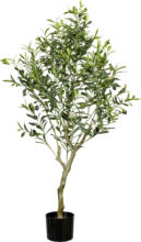 mömax Spittal a. d. Drau Kunstpflanze Olivenbaum