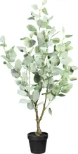 mömax Kunstpflanze Eukalypthus