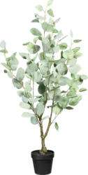 Kunstpflanze Eukalypthus