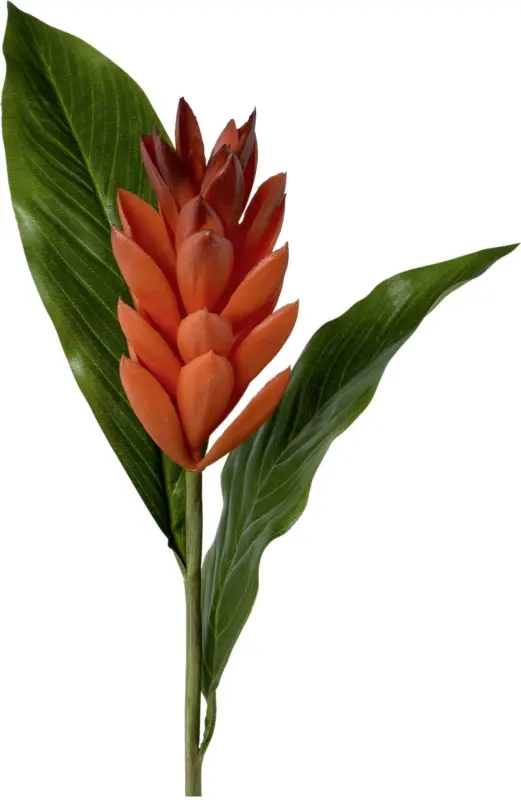 Kunstpflanze Ginger