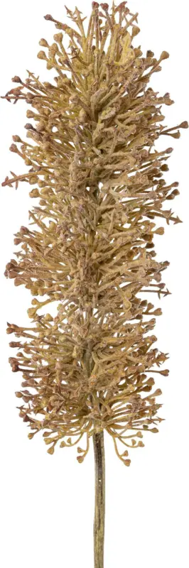 Kunstpflanze Eremurus in Altrosa