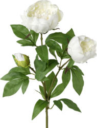 Kunstpflanze Peonienzweig in Weiß