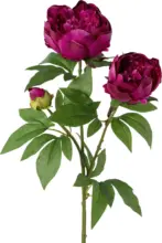 mömax Kunstpflanze Peonienzweig in Kirschrot